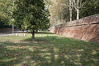Img 158